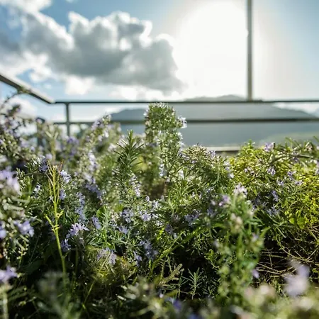 Lavistadeisogni Palmarette * Celano