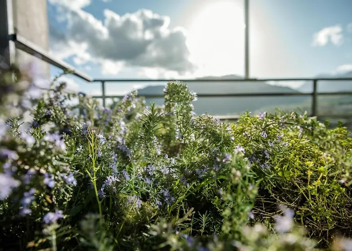 Lavistadeisogni Palmarette * Селано